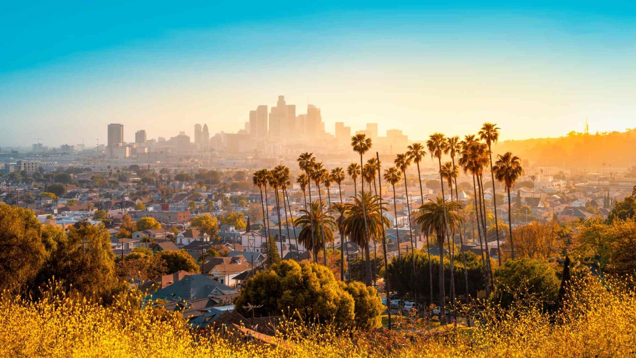 the skyline of Los Angeles during sunset near Los Angeles, CA.